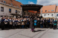 2026-04-26-BIRDABO-STUDIO-34-MDM-swieto-chorow-Rynek-9