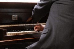 2026-04-28-BIRDABO-STUDIO-34-MDM-organowy-0026